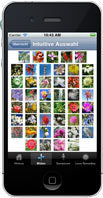 The iphone app about Australian flower essences